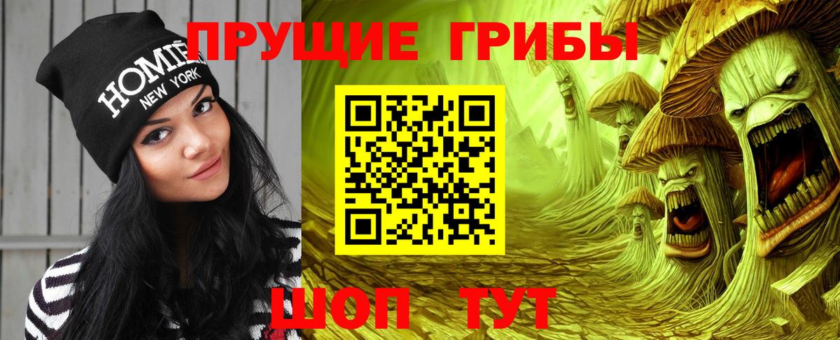 Галлюциногенные грибы ЛСД Городец