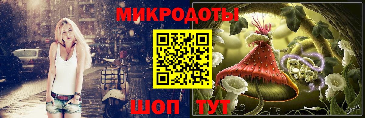 Псилоцибиновые грибы Psilocybe  Вход с VPN  Городец 