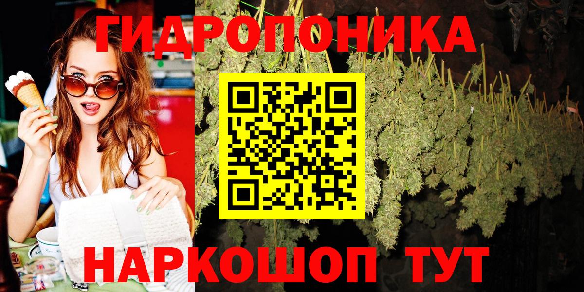 Бошки марихуана семена  Каннабис сатива  Марихуана конопля  Городец  Вход с VPN 